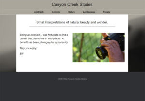 Read more about the article Canyon Creek Stories