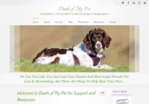 Read more about the article Death of My Pet