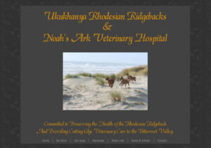 Read more about the article Ridgeback Vet